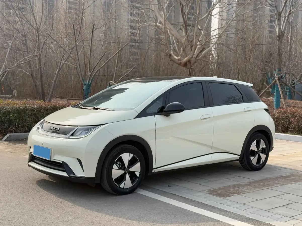 2023 BYD Dolphin BEV 44.928KWH