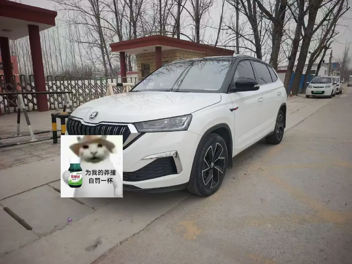 2023 Skoda Kamiq 1.5L 112HP L4 6AT