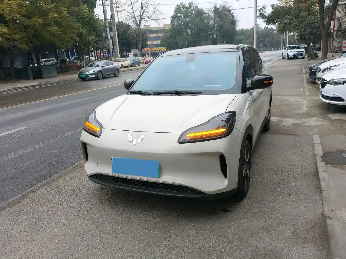 2025 WuLing HongGuang New Energy REEV 99HP REEV