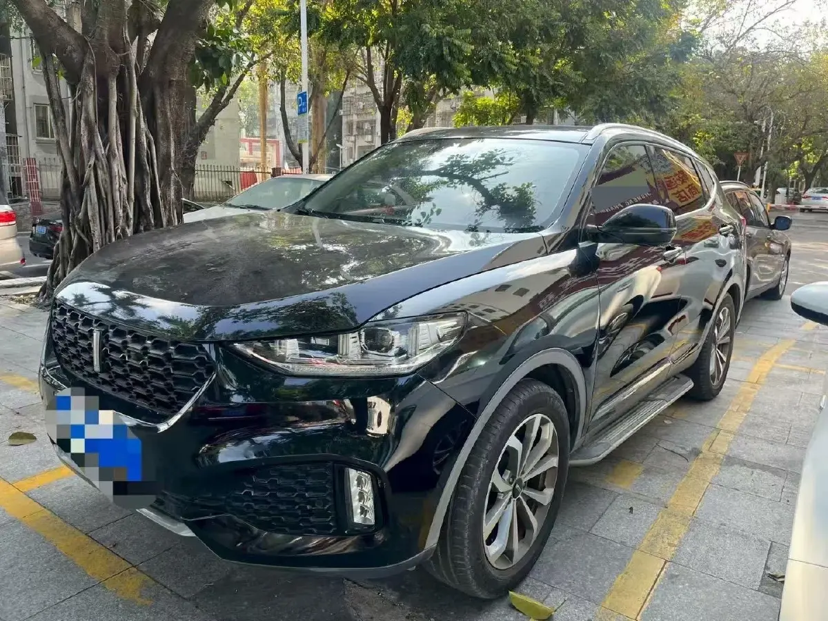 2018 WEY VV6 2.0T 197HP L4 7DCT