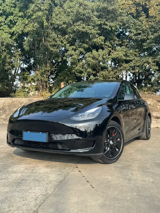 2022 Tesla Model Y BEV 60KWH