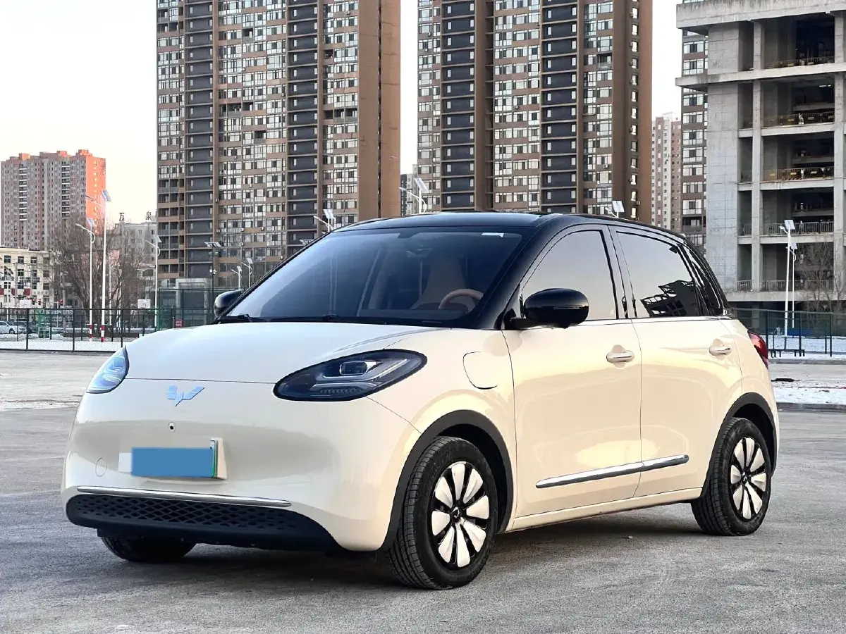 2025 WuLing BinGuo BEV