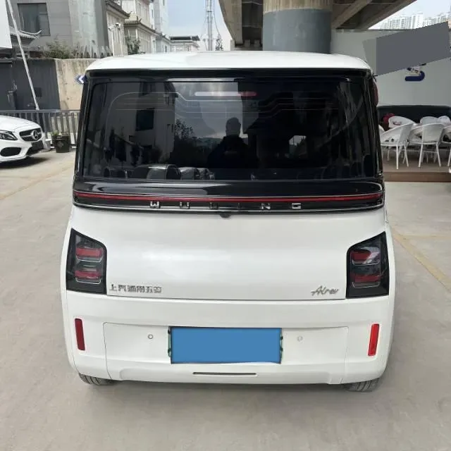 2023 EV House YOUNG BEV 32.56KWH,autocango,china used car exporter,china ev exporter,chinese used car exporter,chinese used ev exporter