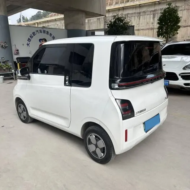 2023 EV House YOUNG BEV 32.56KWH,autocango,china used car exporter,china ev exporter,chinese used car exporter,chinese used ev exporter