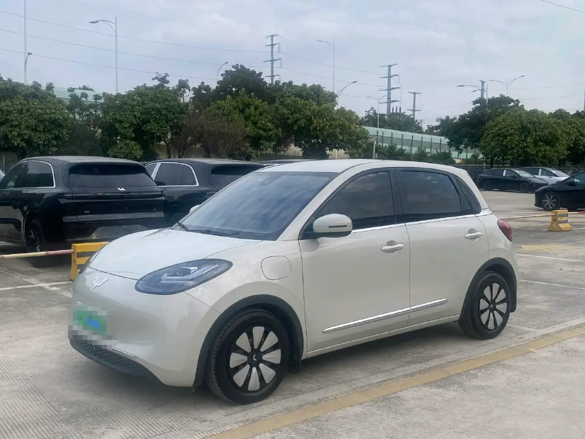 2023 WuLing BinGuo BEV 31.9KWH