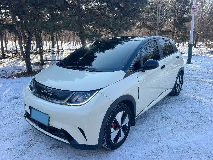 2023 BYD Dolphin BEV 44.928KWH