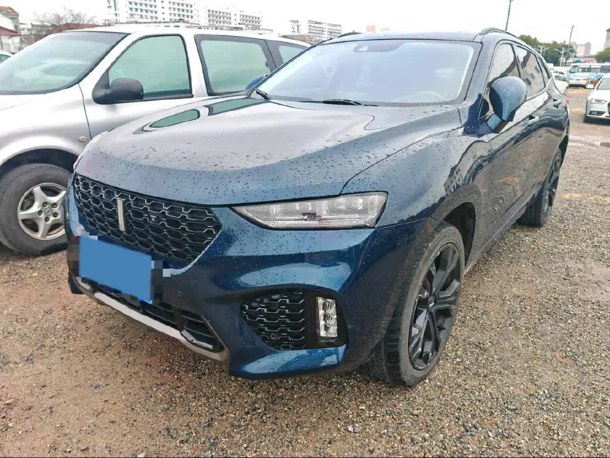 2019 WEY VV7 2.0T 227HP L4 7DCT