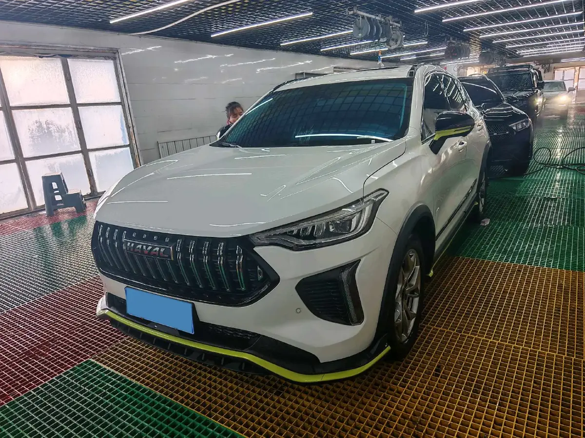 2022 Haval Rabbit 1.5T 150HP L4 7DCT