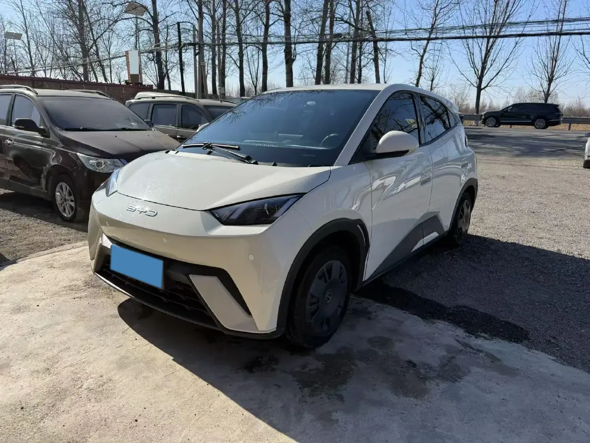 2024 BYD Seagull BEV 30.08KWH