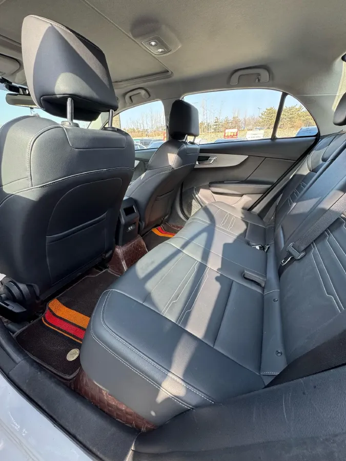 2021 BYD Qin BEV 53.56KWH,autocango,china used car exporter,china ev exporter,chinese used car exporter,chinese used ev exporter