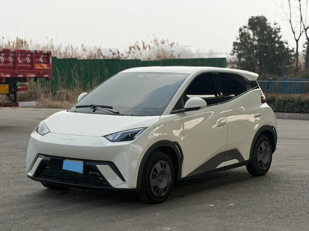 2025 BYD Seagull BEV 30.08KWH