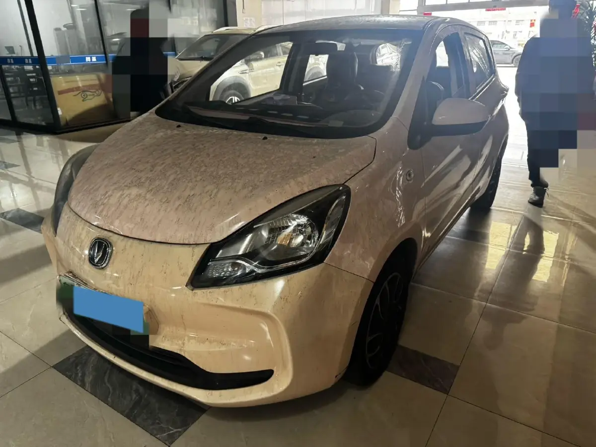 2022 ChangAn BenBen E-Star BEV 31.95KWH