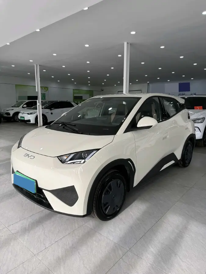 2025 BYD Seagull BEV 30.08KWH