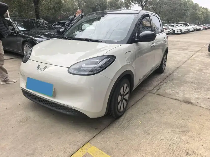 2023 WuLing BinGuo BEV 37.9KWH