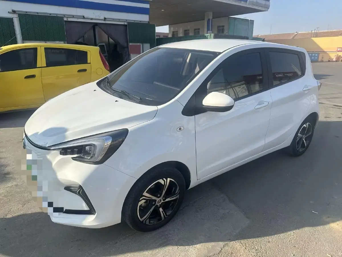 2022 ChangAn BenBen E-Star BEV 31.95KWH