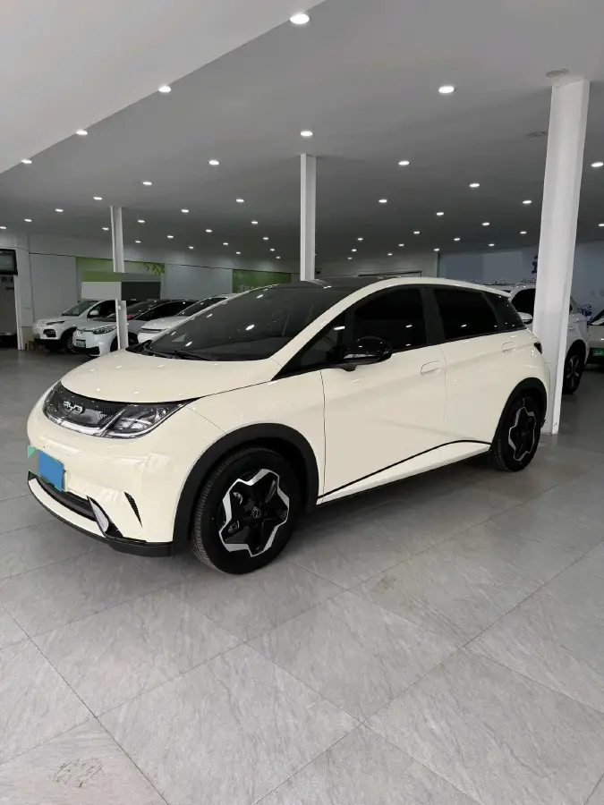 2021 BYD Yuan Pro BEV 50.1KWH