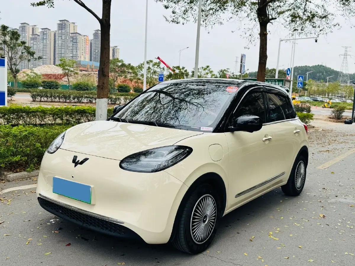 2025 WuLing BinGuo BEV