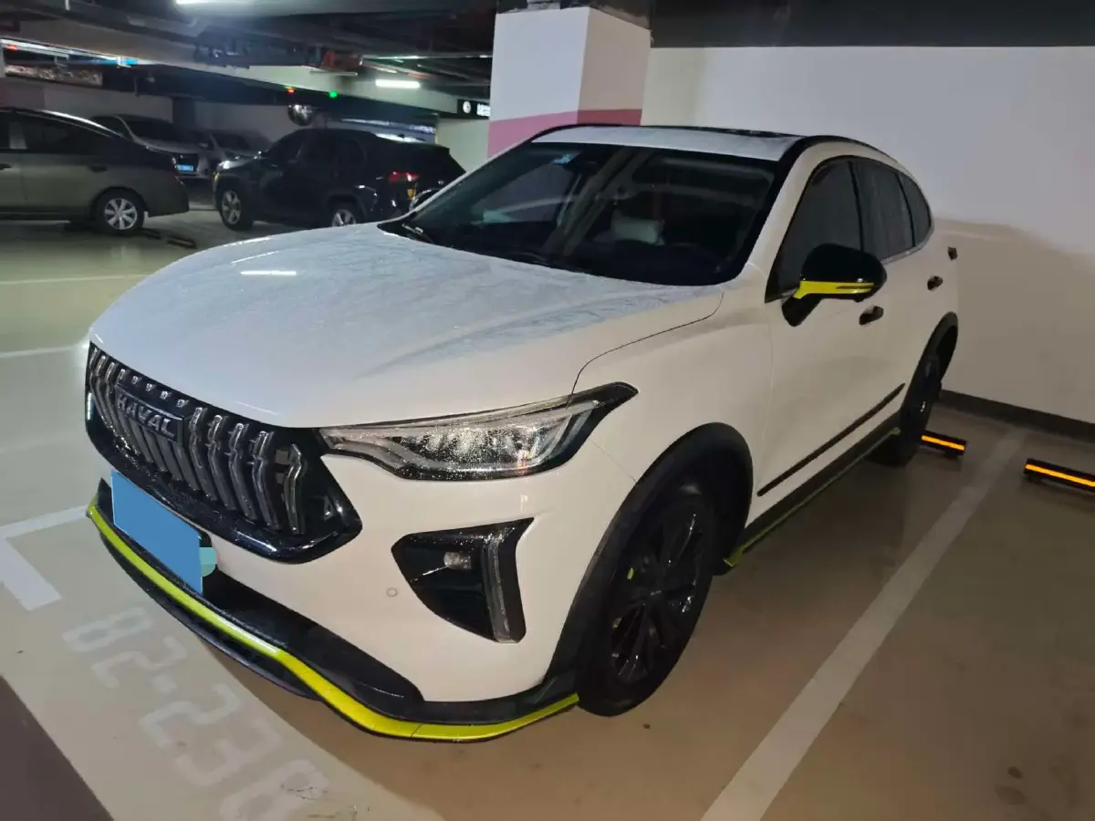 2021 Haval Rabbit 1.5T 184HP L4 7DCT