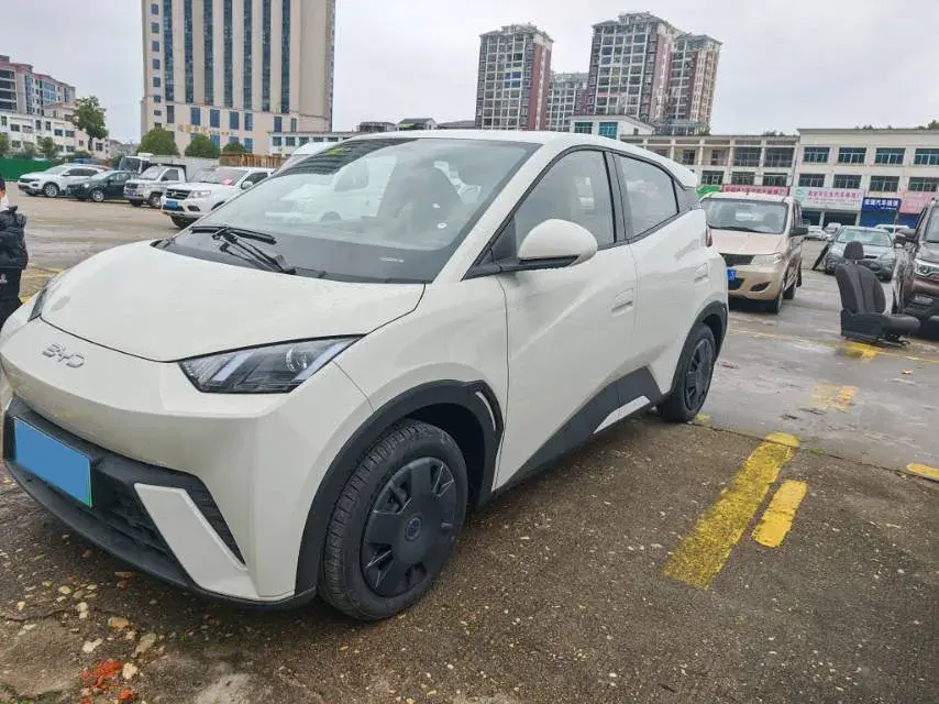 2025 BYD Seagull BEV 30.08KWH