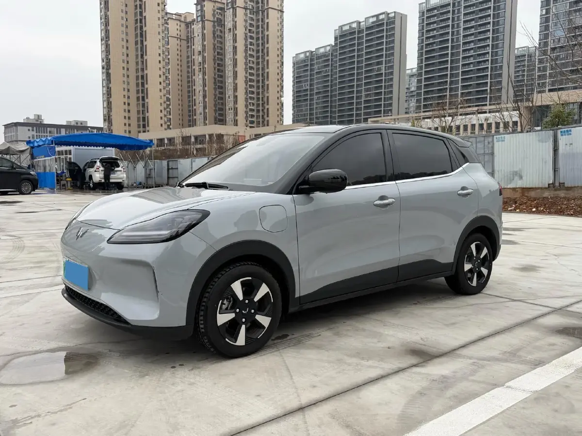 2024 WuLing BinGuoPLUS BEV 31.9KWH