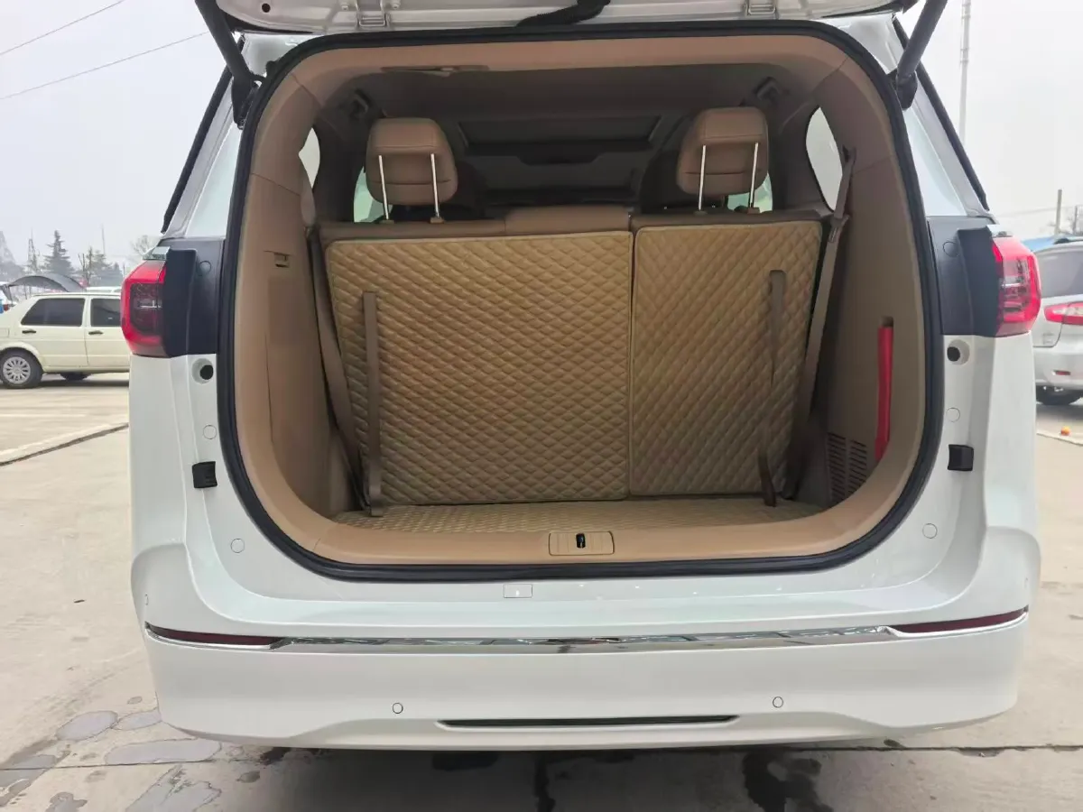 2020 Buick GL8 2.0T 237HP L4 9AT,autocango,china used car exporter,china ev exporter,chinese used car exporter,chinese used ev exporter