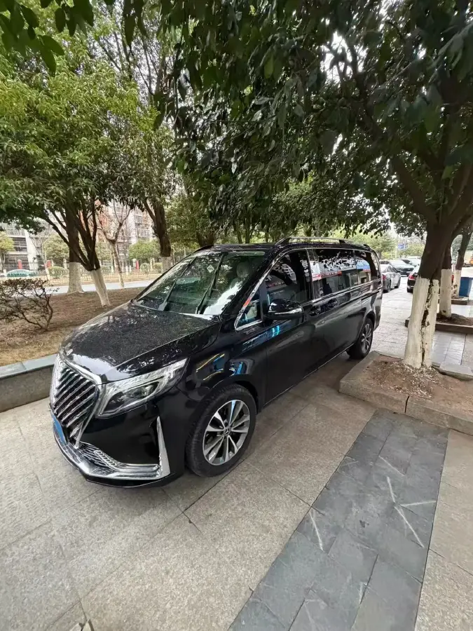 2021 Mercedes-Benz V Class 2.0T 211HP L4 9AT