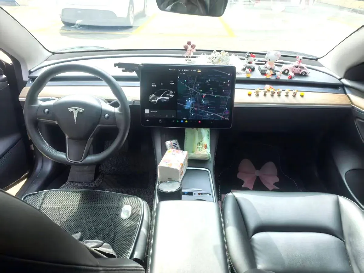 2021 Tesla Model 3 BEV 55KWH,autocango,china used car exporter,china ev exporter,chinese used car exporter,chinese used ev exporter