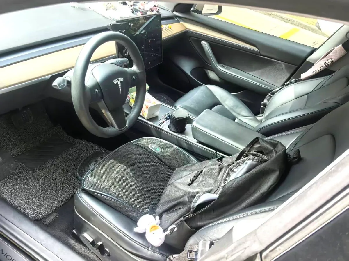 2021 Tesla Model 3 BEV 55KWH,autocango,china used car exporter,china ev exporter,chinese used car exporter,chinese used ev exporter