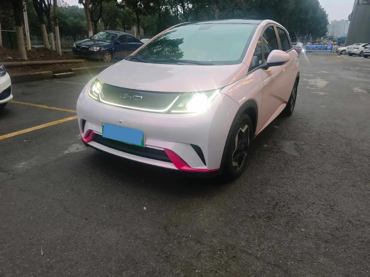 2021 BYD Yuan Pro BEV 50.1KWH