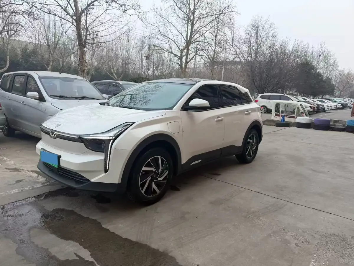 2021 Neta U BEV 54.34KWH