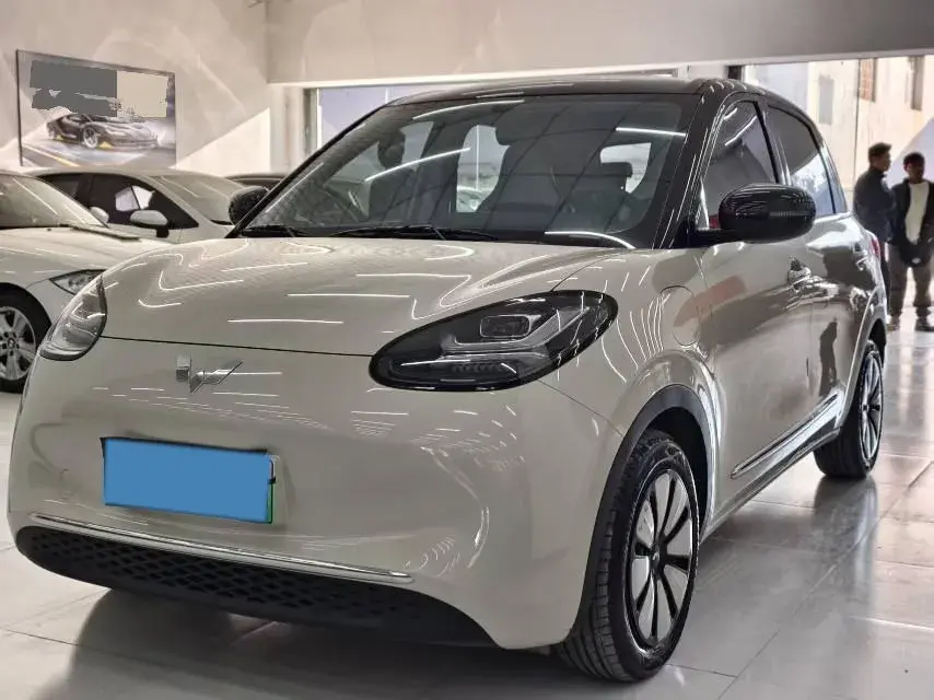 2025 WuLing BinGuo BEV