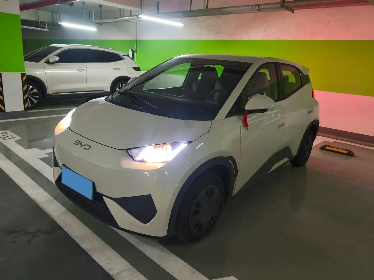 2025 BYD Seagull BEV 30.08KWH