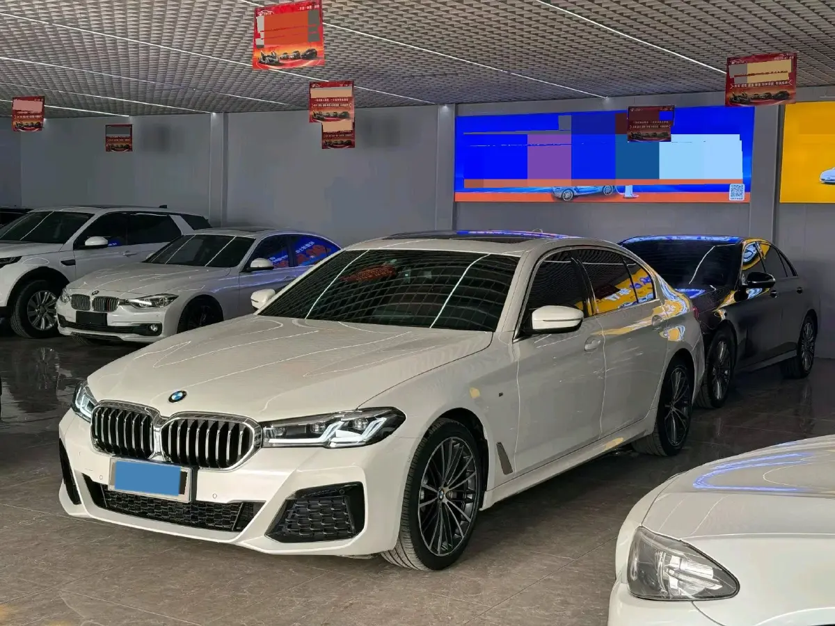 2020 BMW 5 Series 2.0T 252HP L4 8AT