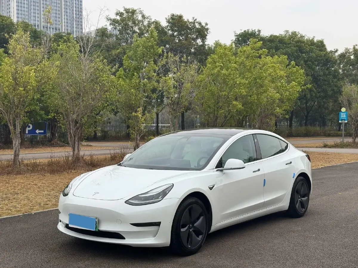 2019 Tesla Model 3 BEV 81KWH