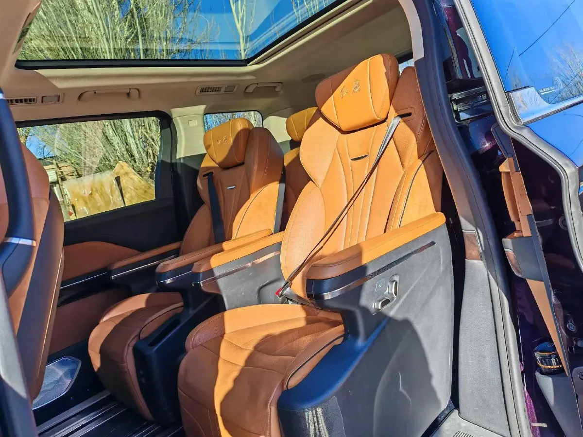 2023 HongQi HQ9 2.0T 252HP L4 8AT,autocango,china used car exporter,china ev exporter,chinese used car exporter,chinese used ev exporter