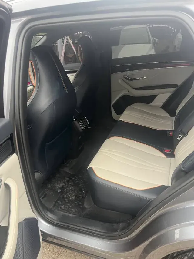 2021 SRM Sea Lion EV BEV 41.86KWH,autocango,china used car exporter,china ev exporter,chinese used car exporter,chinese used ev exporter