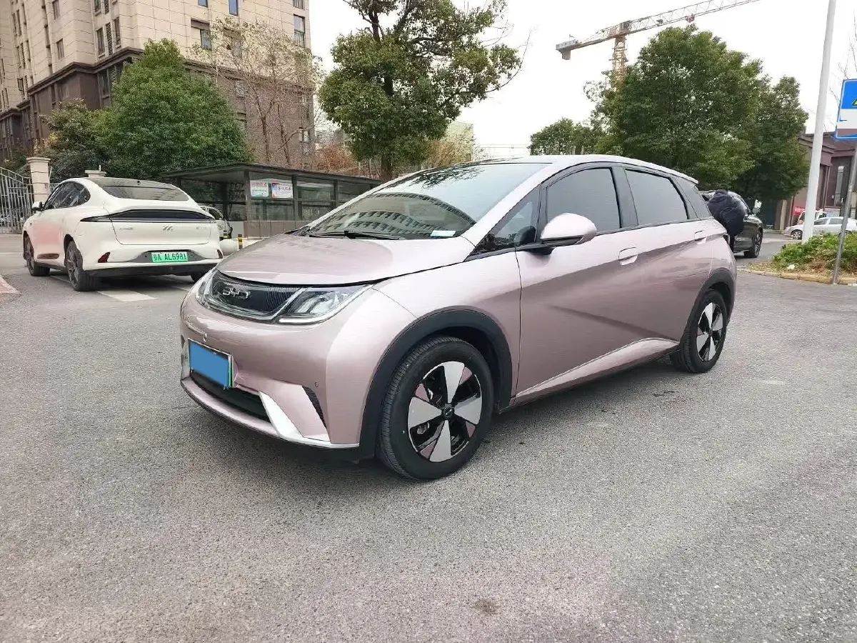 2023 BYD Dolphin BEV 44.928KWH