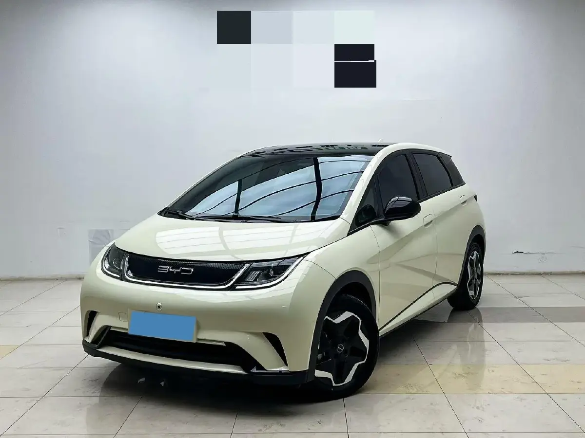 2024 BYD Dolphin BEV 44.928KWH
