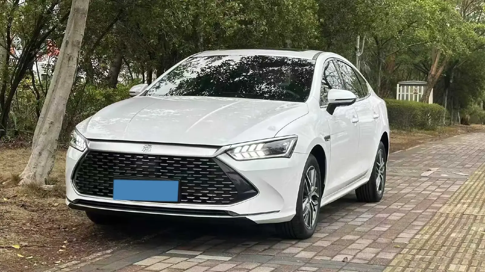 2021 DongFeng FuKang e Elysee BEV 38.4KWH
