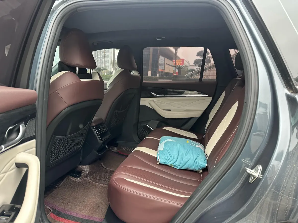 2024 Geely Monjaro 2.0T 238HP L4 8AT,autocango,china used car exporter,china ev exporter,chinese used car exporter,chinese used ev exporter