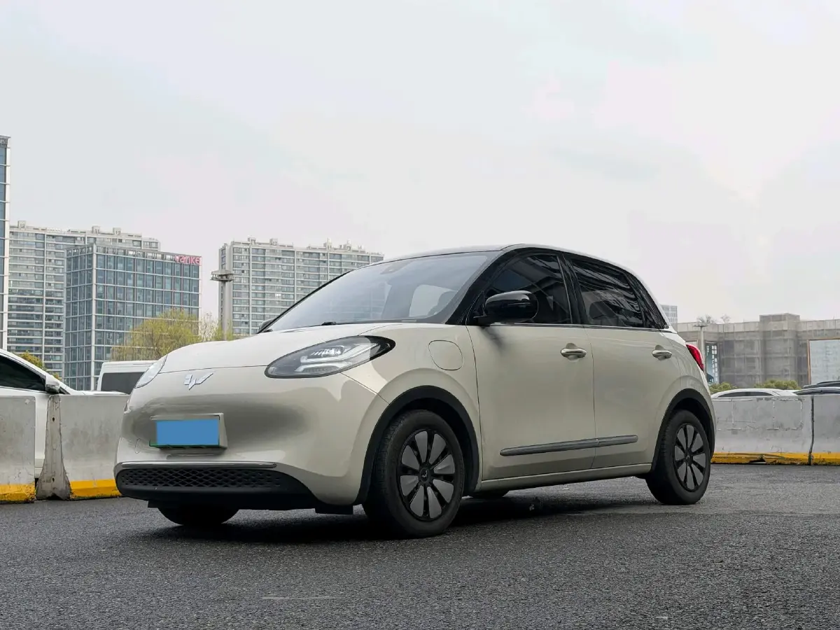 2023 WuLing BinGuo BEV 31.9KWH