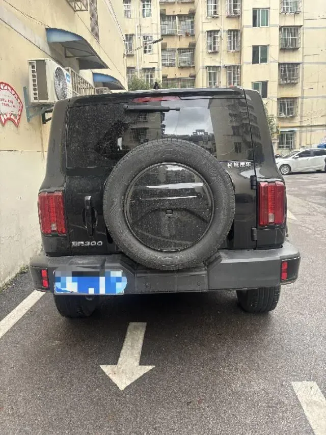 2024 Tank 300 2.0T 252HP L4 9AT,autocango,china used car exporter,china ev exporter,chinese used car exporter,chinese used ev exporter