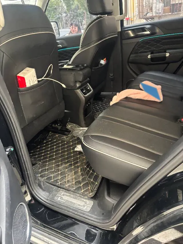 2024 Tank 300 2.0T 252HP L4 9AT,autocango,china used car exporter,china ev exporter,chinese used car exporter,chinese used ev exporter