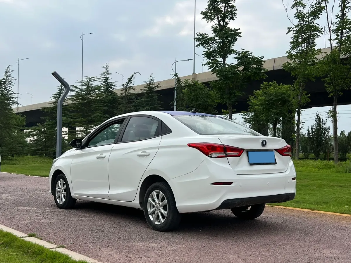 2019 ChangAn Alsvin 1.5L 107HP L4 5DCT,autocango,china used car exporter,china ev exporter,chinese used car exporter,chinese used ev exporter