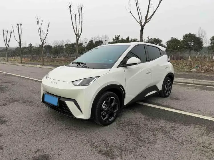 2024 BYD Seagull BEV 38.88KWH