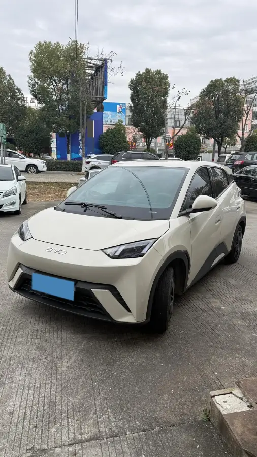 2025 BYD Seagull BEV 30.08KWH