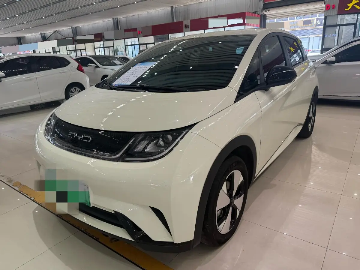 2024 BYD Dolphin BEV 44.928KWH