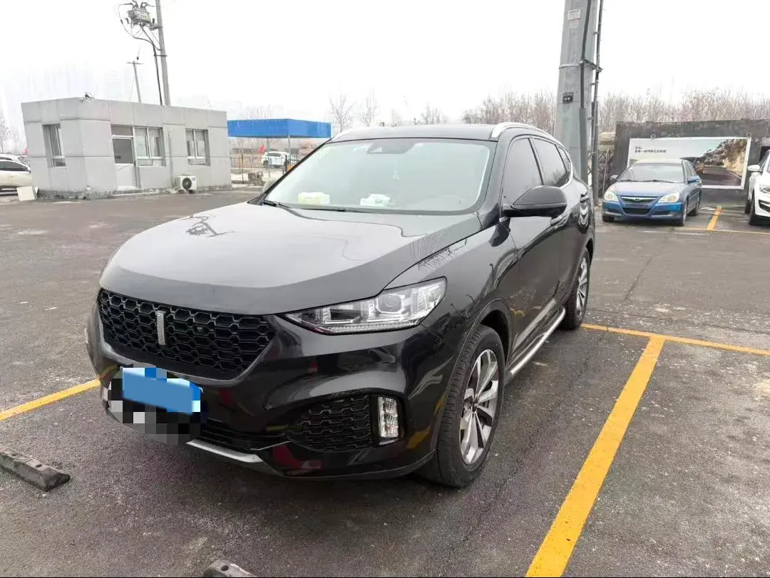 2019 WEY VV6 2.0T 224HP L4 7DCT