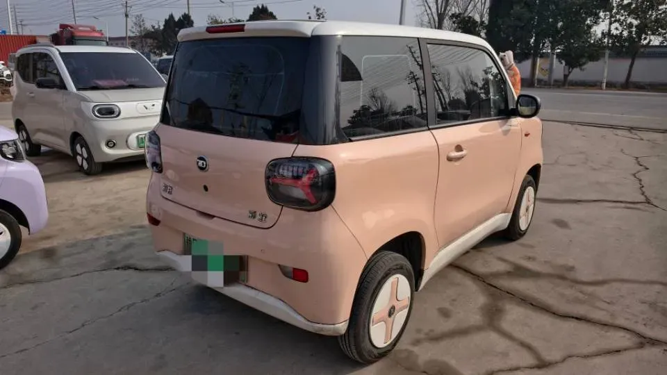 2024 ZD Rainbow BEV 17.18KWH,autocango,china used car exporter,china ev exporter,chinese used car exporter,chinese used ev exporter