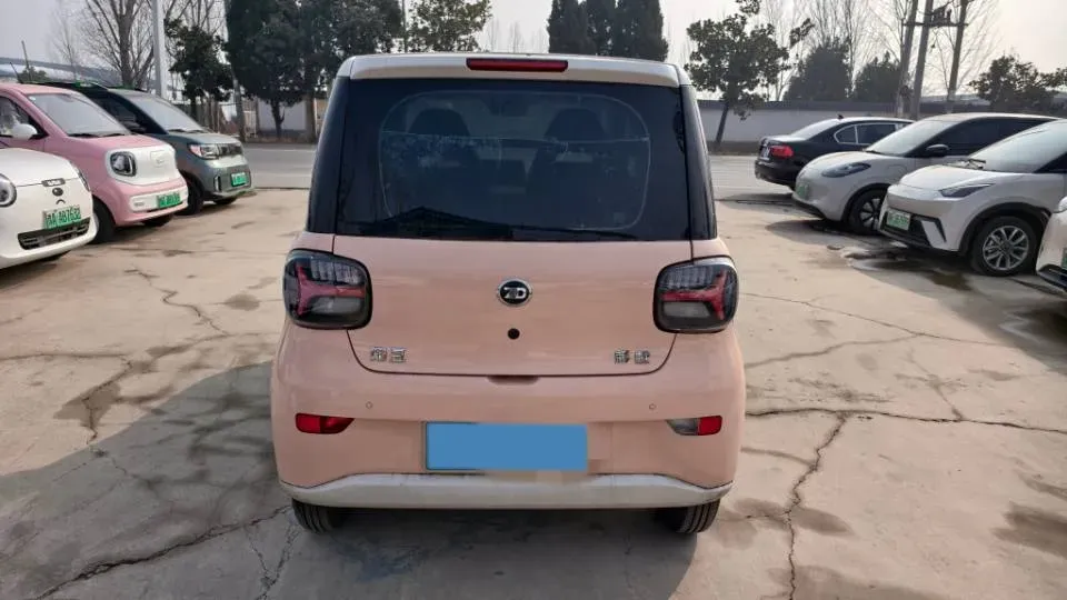 2024 ZD Rainbow BEV 17.18KWH,autocango,china used car exporter,china ev exporter,chinese used car exporter,chinese used ev exporter